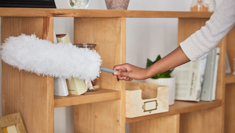 Dust and Debris Removal